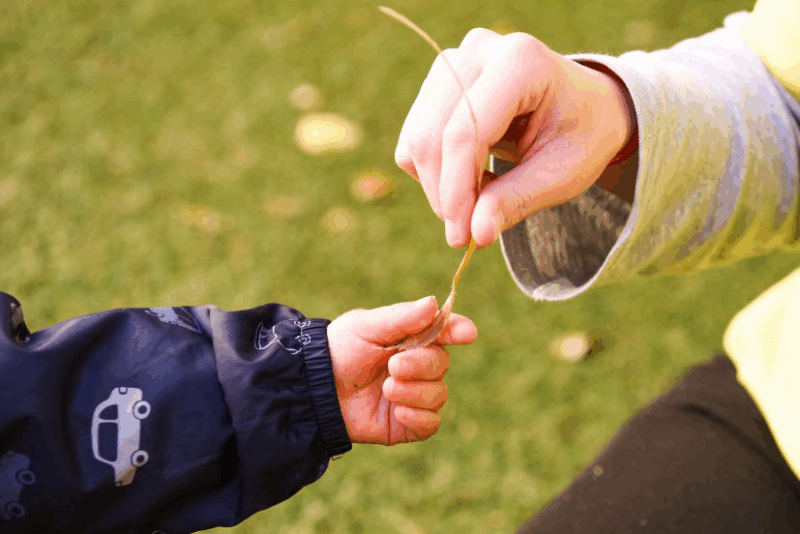 Mano bambino e adulto. Foto di Cooperativa Accomazzi