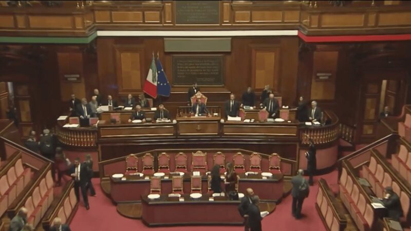Senato in assemblea. Foto da Senatotv.