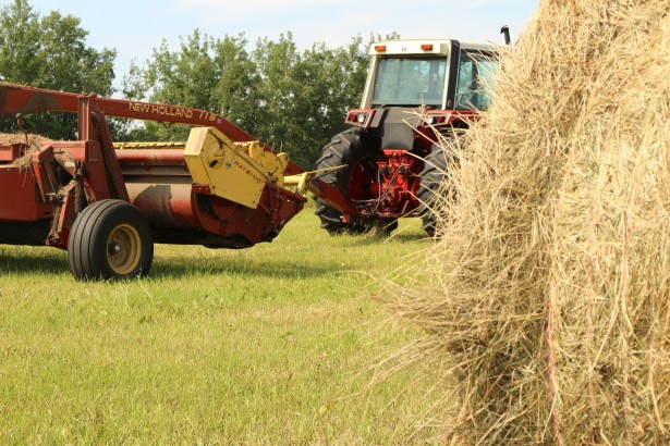 Macchinario per il fieno