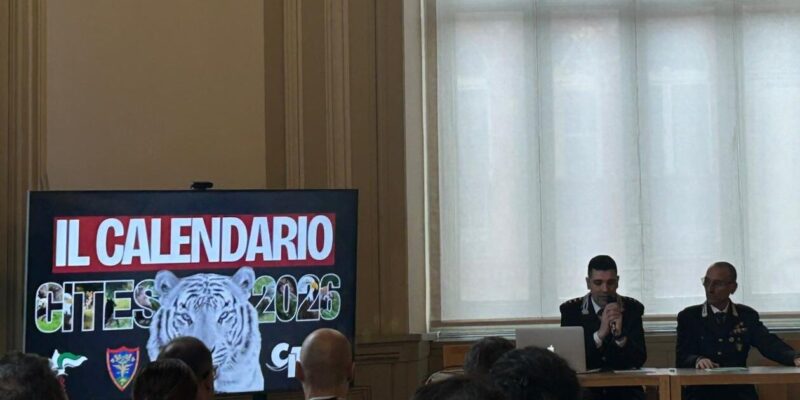 Carabinieri Forestali